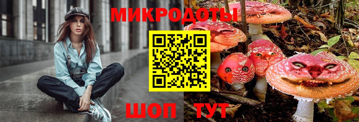 Воркута  Галлюциногенные грибы мицелий  Галлюциногенные грибы прущие грибы  Вход с VPN 